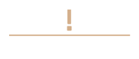Spies Solutions Logo